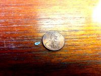 Ant Coffin by robduarte