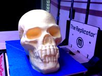 Skull with Pointed Teeth by akaziuna
