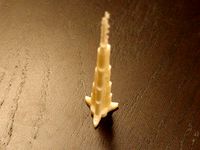 Burj Khalifa - The tallest building in the world by Hellando