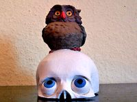 Peter and the owl by spooner2011