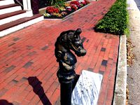 Horse Head Post by tbuser