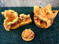 Three Succulents by pmoews