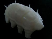 Tardigrade (Water Bear) by neurothing