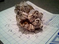 Barnacles by pandelume