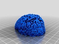 Brain bottle opener by Ahasuerus