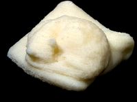 Cat on pillow by wolfboys