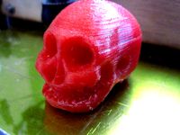 Smiling Skull by Kirkonpolttaja