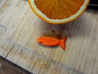 April Fools' Day fish ! by fchasseur