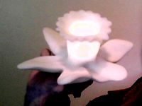 Daffodil Light Fixture by tamarshall