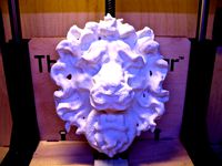 Lion Stucco Face by tbuser