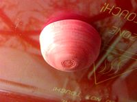 Spherical knob by flux