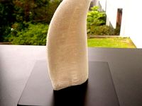 Sperm Whale Tooth by HollowaySmith