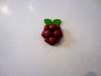 Raspberry pi refridgerator magnet by johnbradley