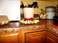 Deviled Egg saver. Honey do. by ronthomp