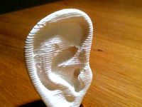 Ear by spoogle