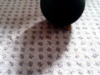 Atomic Cat Food Ball by telepath