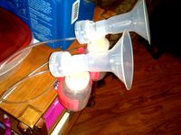 Breast Pump Bottle Holder by devellison
