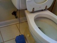 King's Toilet Bowl Pedal  by 2ROBOTGUY