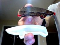 mole day cookie cutter  by kurtzy813