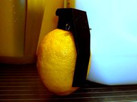 Combustible Lemons by Landru
