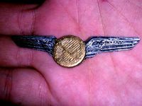 Pilots Wings by elmwolf