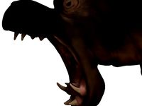 Hippo (made in Zbrush) by Laurencio