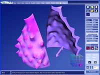 Organic large petal for Bongoboy23's Blooming Flower by AnnMarieShillito