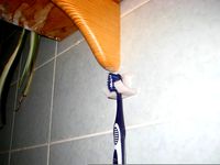 toothbrush holder  by paul_B