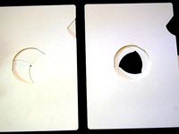 Iris Greeting Card by clide