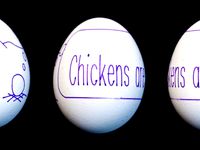 Free Range Eggtivism by raster