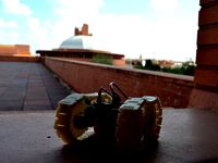 Caterpillator by Olalla