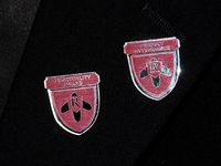 Rushmore Pins - Perfect Attendance & Punctuality Award by theron