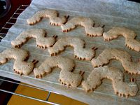Very Hungy Caterpillar Cookies by DrBlackAdder