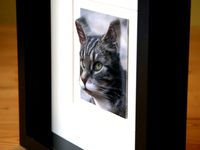 3D from any 2D (or From Flat to Cat) by staffert