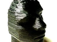 Taylor Face Scan/Print! by MakerTaylor