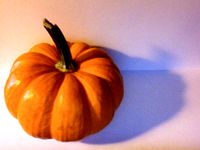 Pumpkin for Halloween by DLPlanes