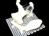 Human ossicles (ear bones) ~10X by neurothing