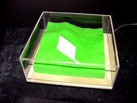 Gift - Topographical 3D Model of Catskills Lodge Property by ferret7