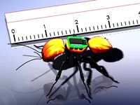 Ant Head by blgrinst