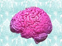 BRAAAAAAIN! by gianteye