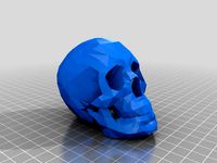 Skull by CidVilas