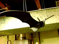 Hanging Bat by Chazmtu