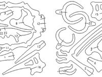 Flaugasaur by dino-girl