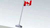 Canadian Flag (175th Model)