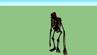 hominid