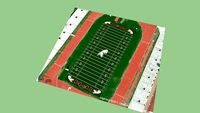burros blancos field