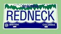 British Columbia License Plate