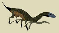 Anchisaurus polyzelus
