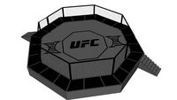 UFC Octagon
