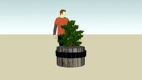 wooden plant pot with tree